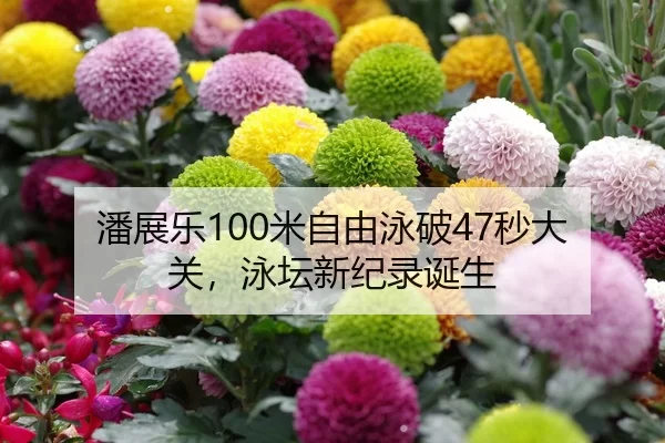 潘展乐100米自由泳破47秒大关，泳坛新纪录诞生
