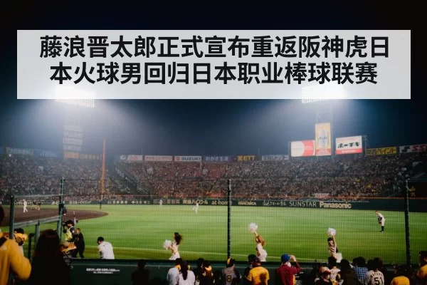 japanese baseball stadium