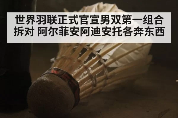 世界羽联正式官宣男双第一组合拆对 阿尔菲安阿迪安托各奔东西