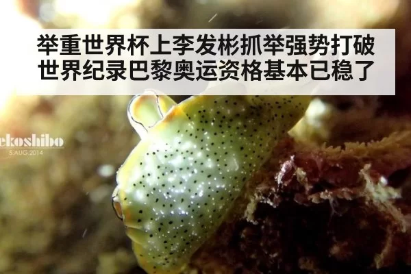 举重世界杯上李发彬抓举强势打破世界纪录巴黎奥运资格基本已稳了